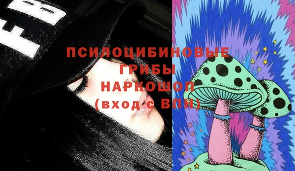крисы Беломорск
