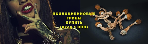 крисы Беломорск